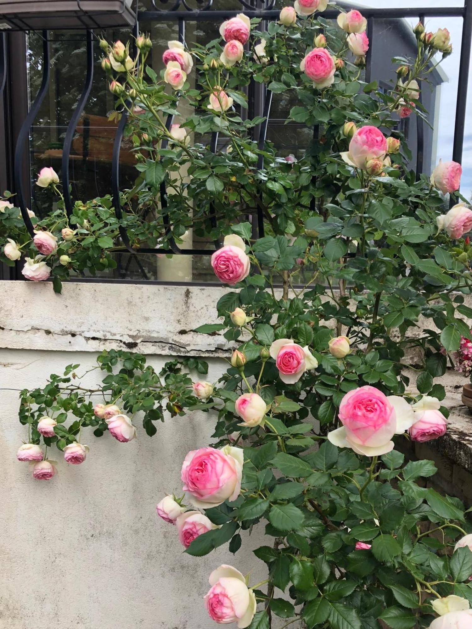 Le Jardin Des Verottes 본느 외부 사진
